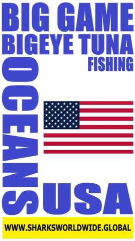 BG BIGETF USA S