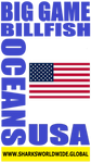 BG BILL USA V1 S