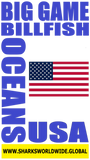 BG BILL USA V1 S