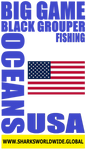 BG BLKGRF USA V1 S