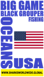 BG BLKGRF USA V1 S