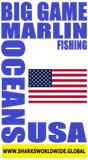 BGMF USA T