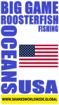 BG ROOF USA S