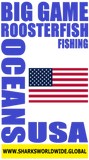 BG ROOF USA S