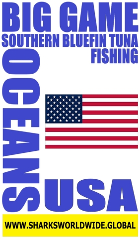 BG SBFTF USA V1 S