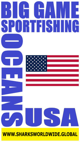 BGSF USA V1 S