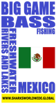BGBF MEX S