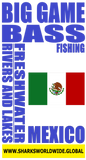 BGBF MEX S