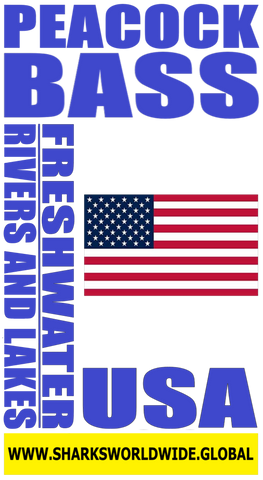 PB USA V1 S