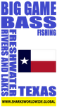 BGBF TX S