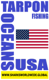TARF USA STEIN