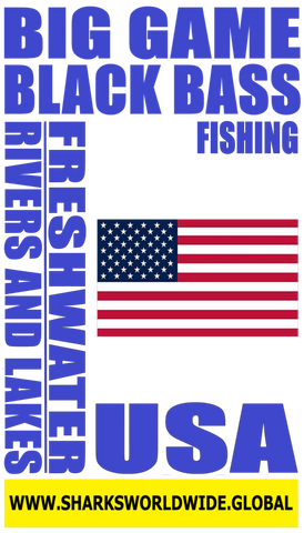 BGBLKBF USA S