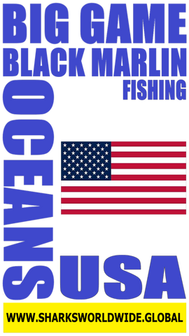 BG BLKMF USA S