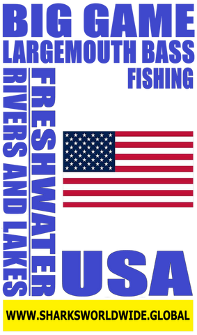 BGLMBF V1 USA F/R T