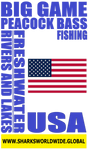 BGPBF USA V1 S