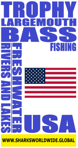 TLMBF USA V1 S