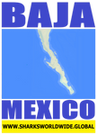 BAJA MEX M