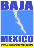 BAJA MEX M