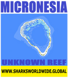 EMCRO UNR2 F/RT