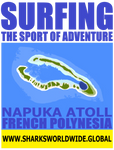 SGOA NAPU F/RT