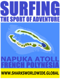 SGOA NAPU F/RT