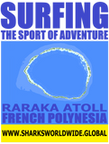 SGOA RARA F/RT