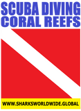 SDNGCR F/R T