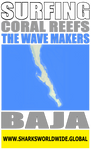ASGTWM BAJA V2 FRT