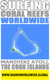 ASNCW MANI V2 M
