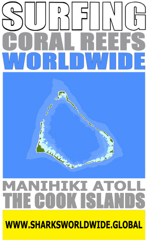 ASNCW MANI V2 FRT