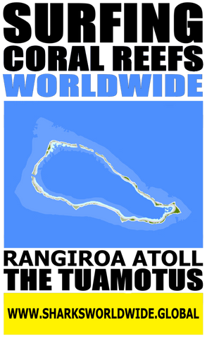 ASNCW RANG V1 FRT
