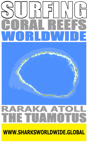 ASNCW RARA V2 FRT
