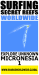 SFCW MCRO 1 V1 FRT