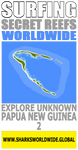 SFCW PNG 2 V2 M