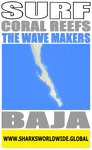 ASTWM BAJA V2 M