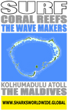 ASTWM KOLV2 M
