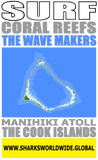 ASTWM MANI V2 FRT