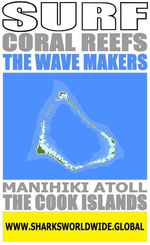 ASTWM MANI V2 FRT