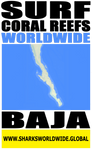 ASCRW BAJA V1 T