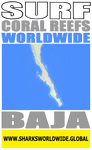 ASCRW BAJA V2 T