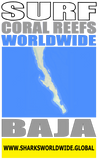ASCRW BAJA V2 T