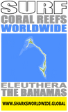 ASCRW ELEU V2 T