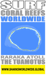 ASCRW RARA V2 M