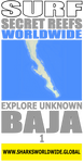SCW BAJA 1 V2 FRT