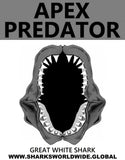 GR AP J GREAT WHITE V1 M