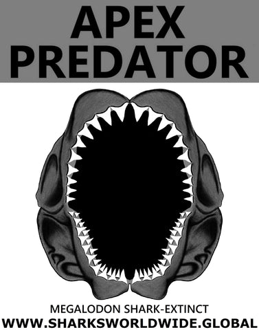 GR AP J MEGALODON M