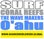 9SCRTWM OAHU F/R T