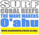 9SCRTWM OAHU F/R T