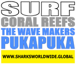 9SCRTWM PUKA F/R T
