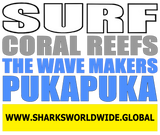 9SCRTWM PUKA F/R T